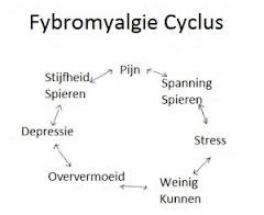 fibromyalgie cyclus