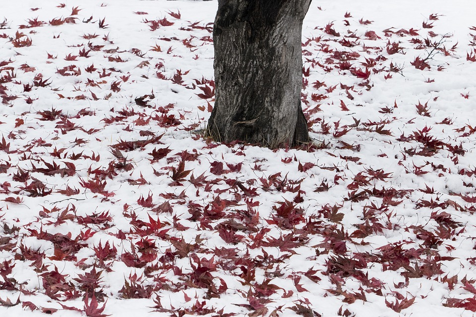 Herfstdepressie of Winterdepressie wat te doen?